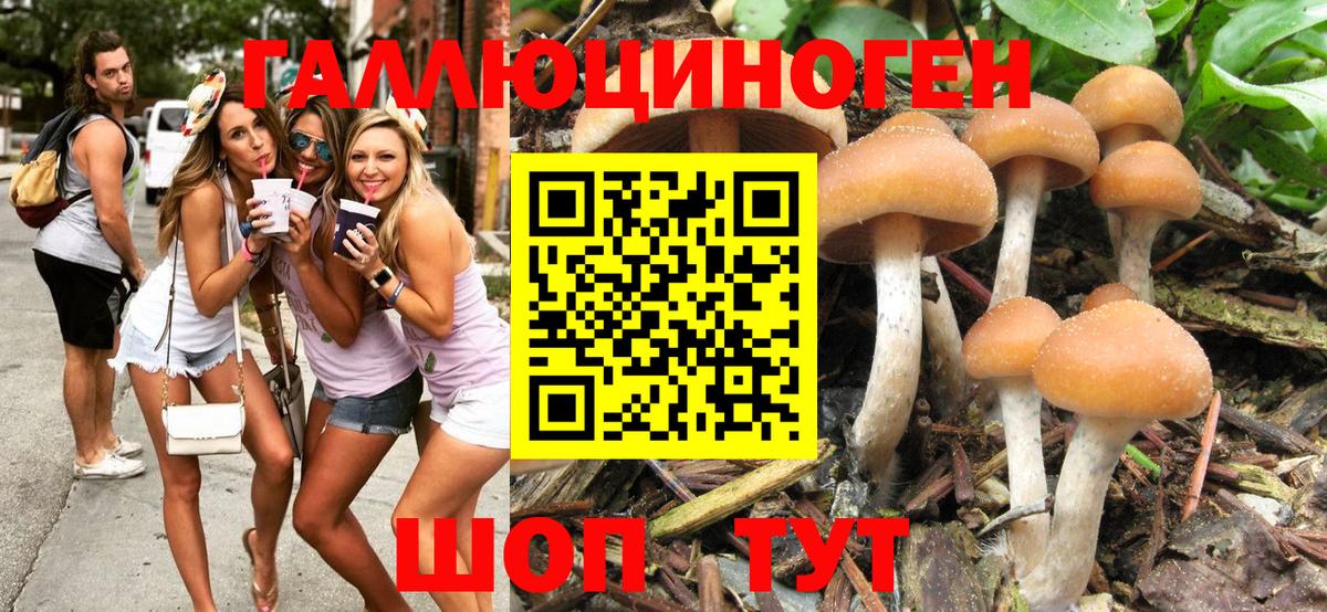 Галлюциногенные грибы мицелий Таганрог